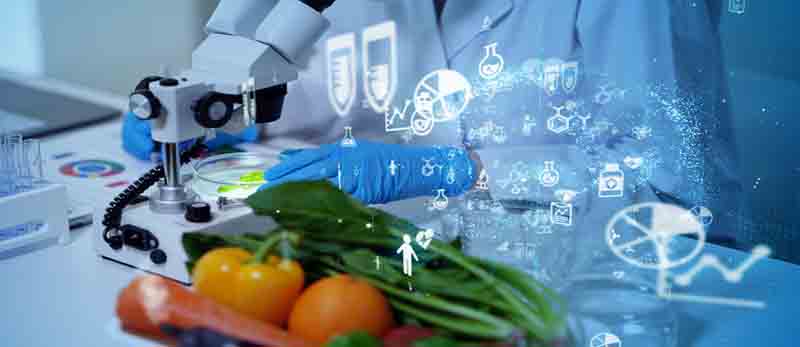 قش تحقیق و توسعه در پیشرفت صنایع غذایی - تولید آفرینان 