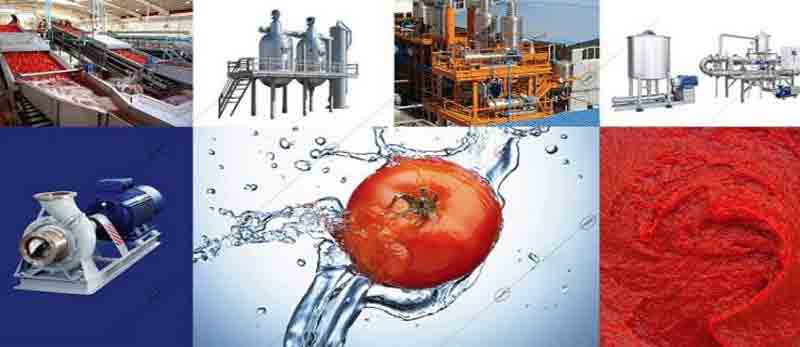 درباره خط تولید رب گوجه فرنگی - تولید آفرینان 