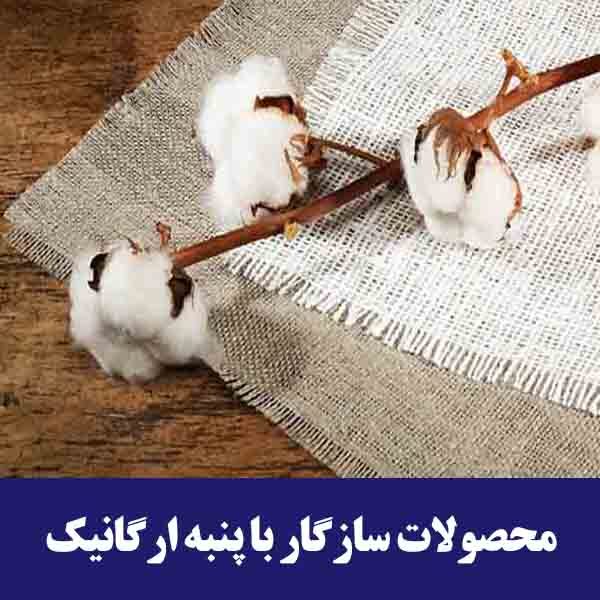 محصولات سازگار با پنبه ارگانیک
