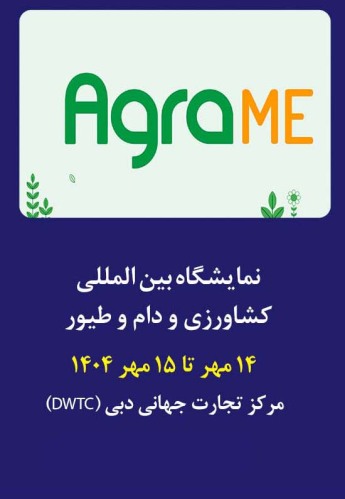 دبی