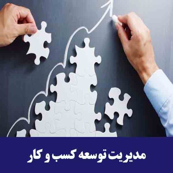 مدیریت توسعه کسب و کار