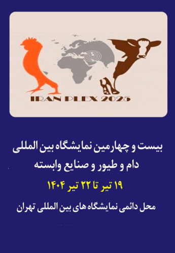 تهران
