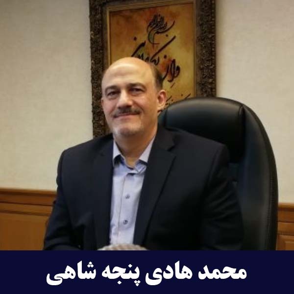 محمد هادی پنجه شاهی