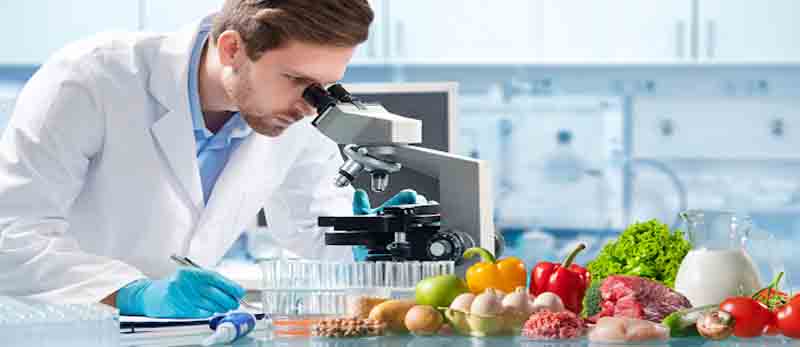 نقش تحقیق و توسعه در پیشرفت صنایع غذایی - تولید آفرینان 