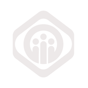 list item image