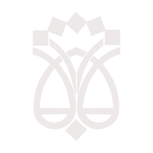 list item image
